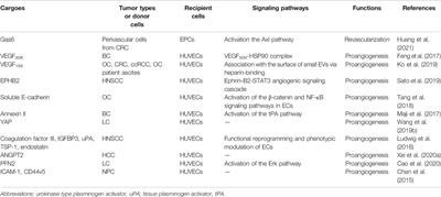 New Insights Into the Regulatory Roles of Extracellular Vesicles in Tumor Angiogenesis and Their Clinical Implications